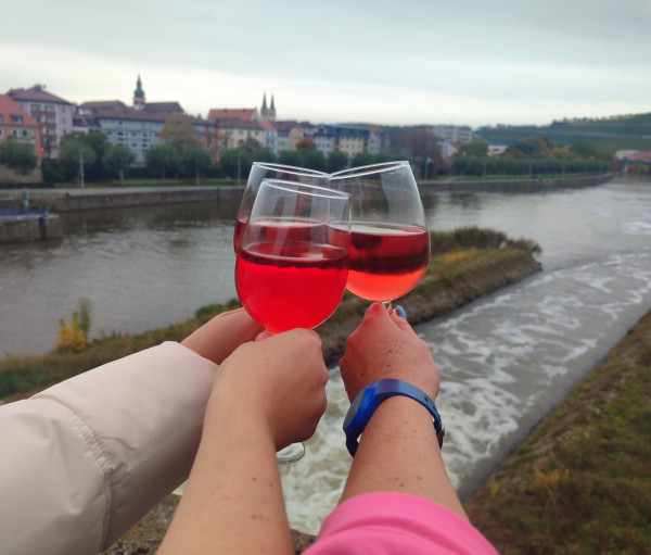 Wine tour from Prague to Bohemia